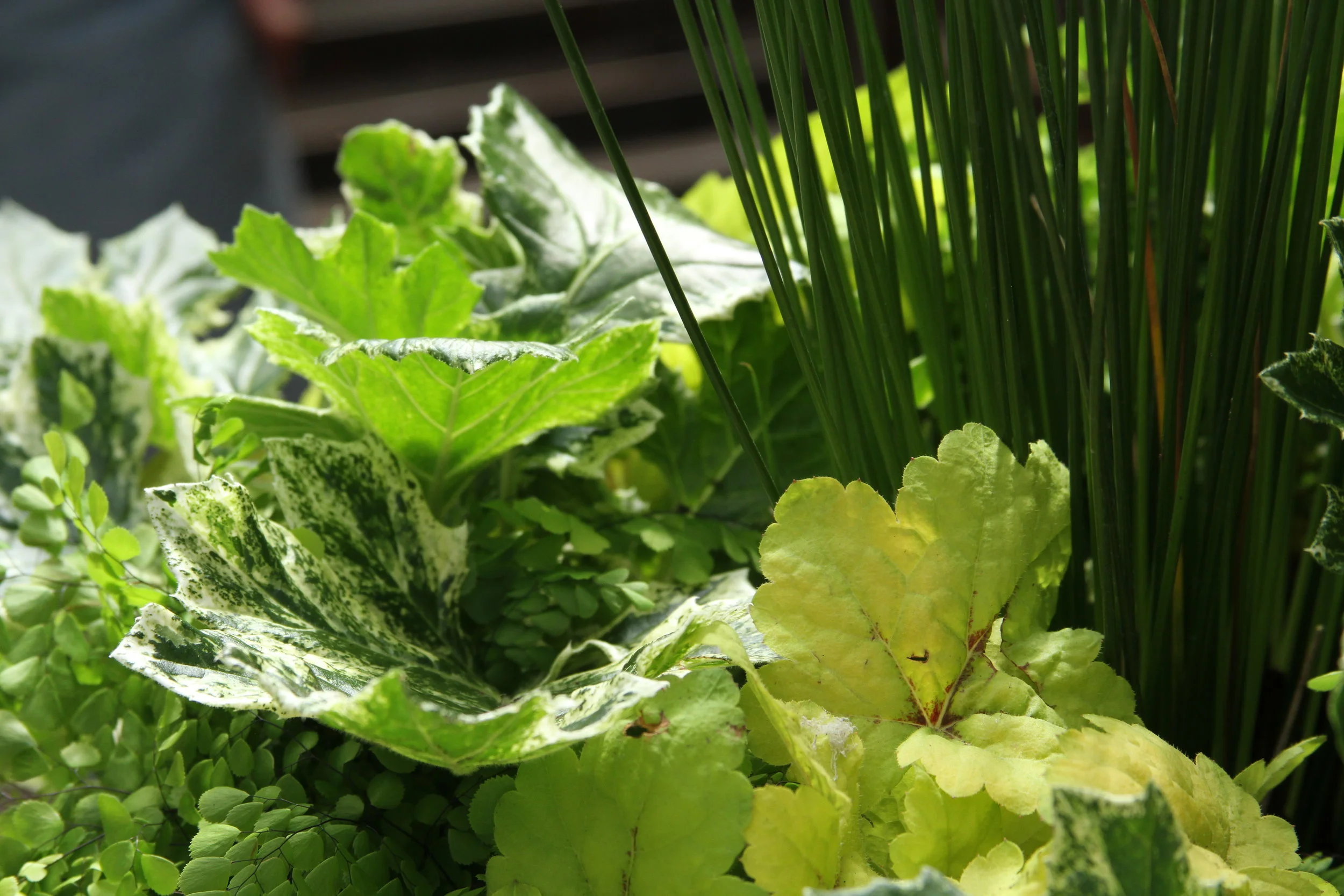 Meet Steve, Swansons' Container Designer — Seattle's Favorite
